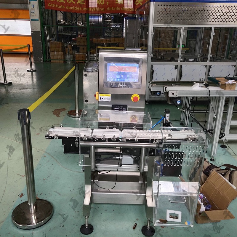 SG-100 High Speed & Accuracy Checkweigher Inline Weighing Scale