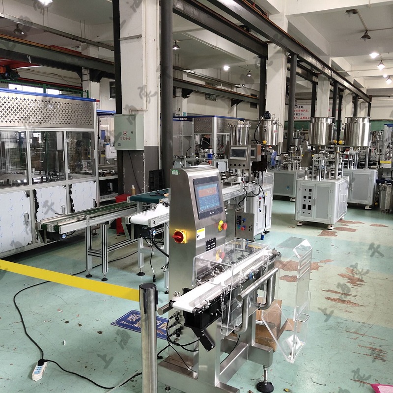 SG-100 High Speed & Accuracy Checkweigher Inline Weighing Scale