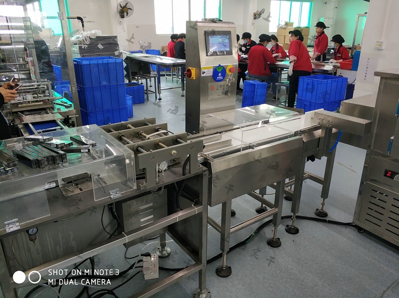 SG-300 High Accuracy Inline Check Weigher For Individual Packaging High-end Checkweigher Systems