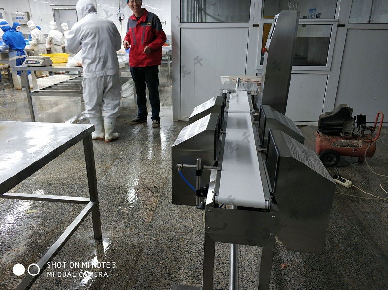 SG-D300 Multi Level Weight Sorting Machine 4-grade Weight Check Sorting Machine