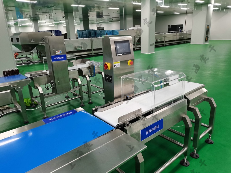 Conveyor belt checkweigher manufacturer