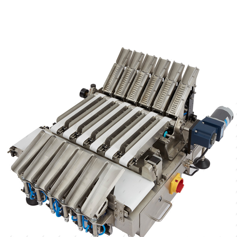 Multi-lane Checkweigher